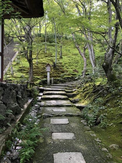 A serene pathway lined with stone steps leads through a lush, green landscape with moss-covered hills and trees. A traditional lantern stands along the path, enhancing the tranquil atmosphere.